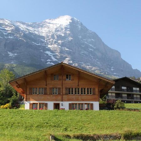 Chalet Asterix Γκρίντελβαλντ Εξωτερικό φωτογραφία