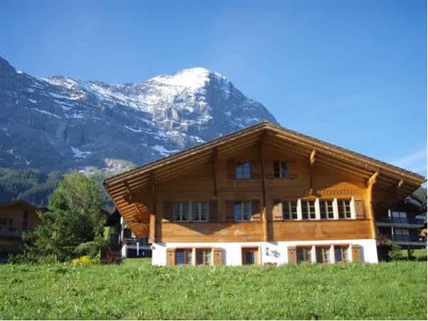 Chalet Asterix Γκρίντελβαλντ Εξωτερικό φωτογραφία